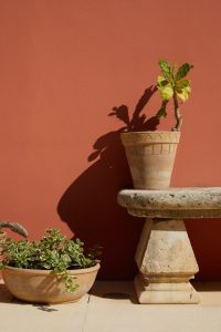 Petra Country House: la destinazione ideale per micro-matrimoni intimi e memorabili