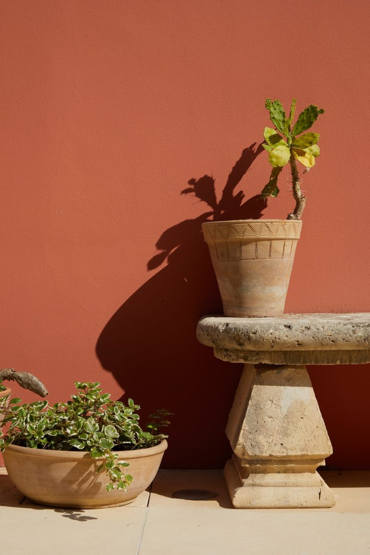 Petra Country House: la destinazione ideale per micro-matrimoni intimi e memorabili